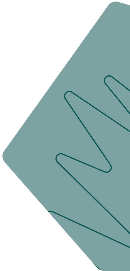 Delivering Smart Software &amp; eCommerce Solutions